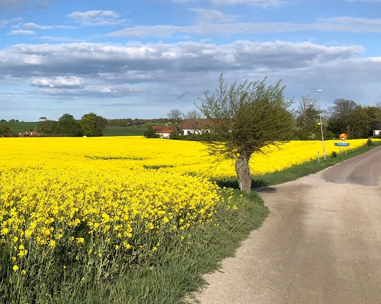 Fiber på landsbygden