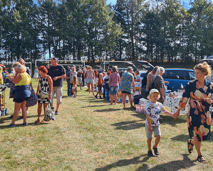 Bakluckeloppis sön 3 sept